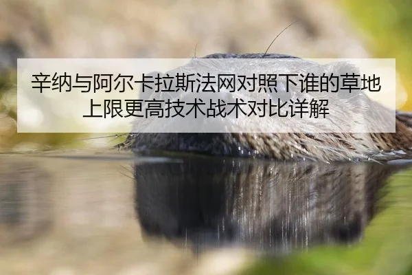 xin-na-yu-a-er-ka-la-si-fa-wang-dui-zhao-xia-shei-de-cao-di-shang-xian-geng-gao-ji-shu-zhan-shu-dui-bi-xiang-jie-2-894.jpg