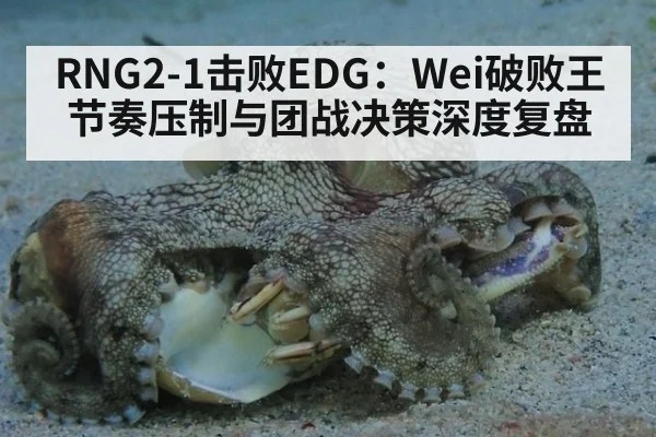 RNG2-1击败EDG：Wei破败王节奏压制与团战决策深度复盘